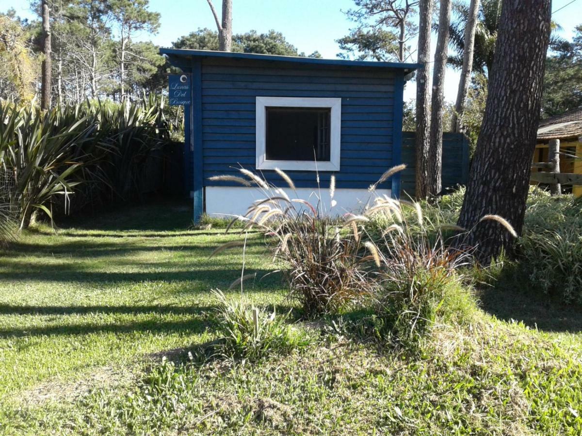 Lunas Del Bosque Cabana Y Apartamento En Suite ลาปาโลมา ภายนอก รูปภาพ